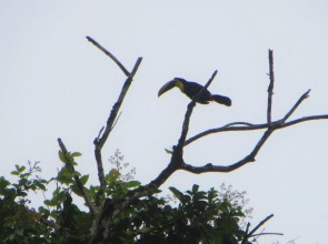 Costa de Ecuador, 3